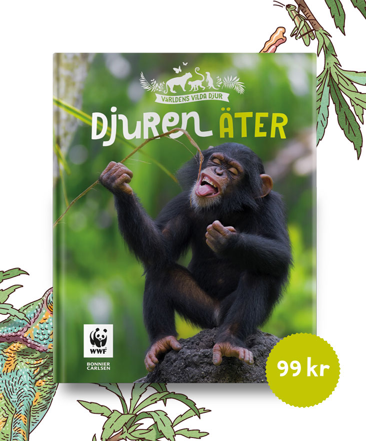Kika på när djuren äter!
