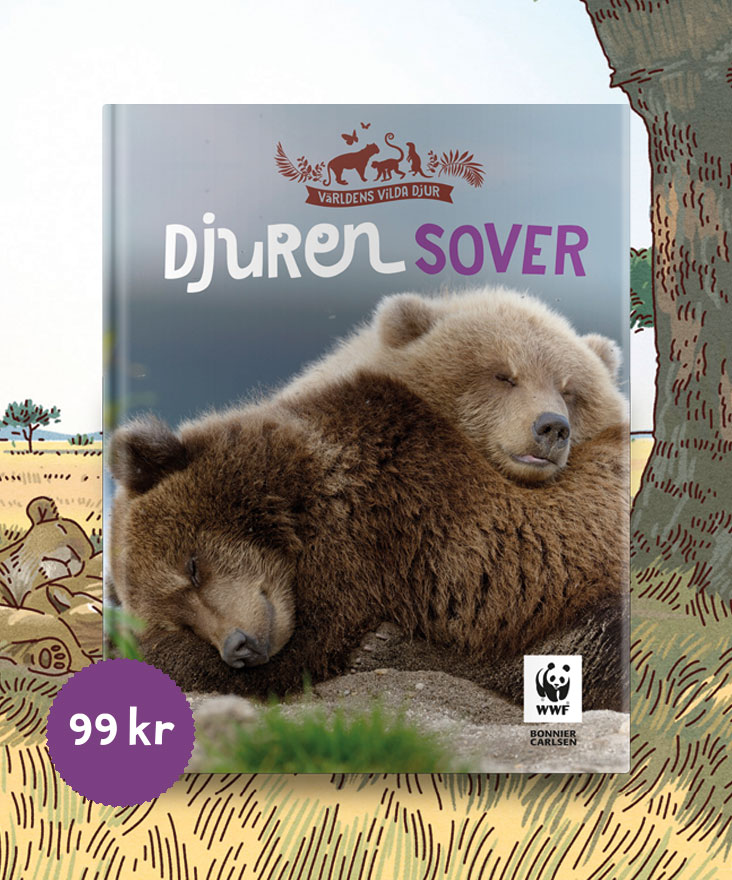Kolla in när djuren sover!