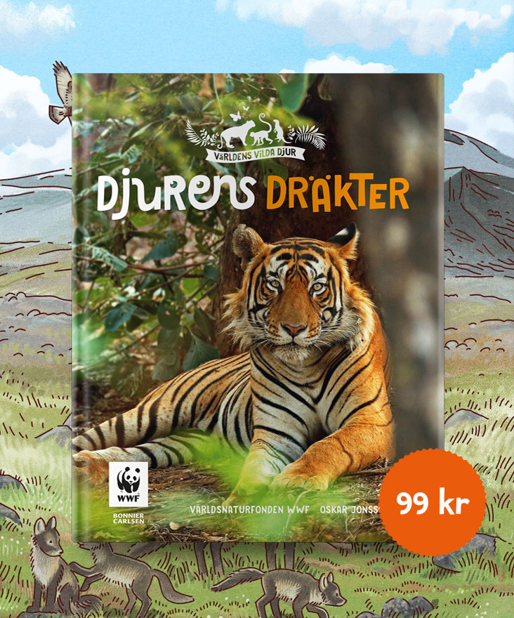Spana in hur djuren ser ut på utsidan!