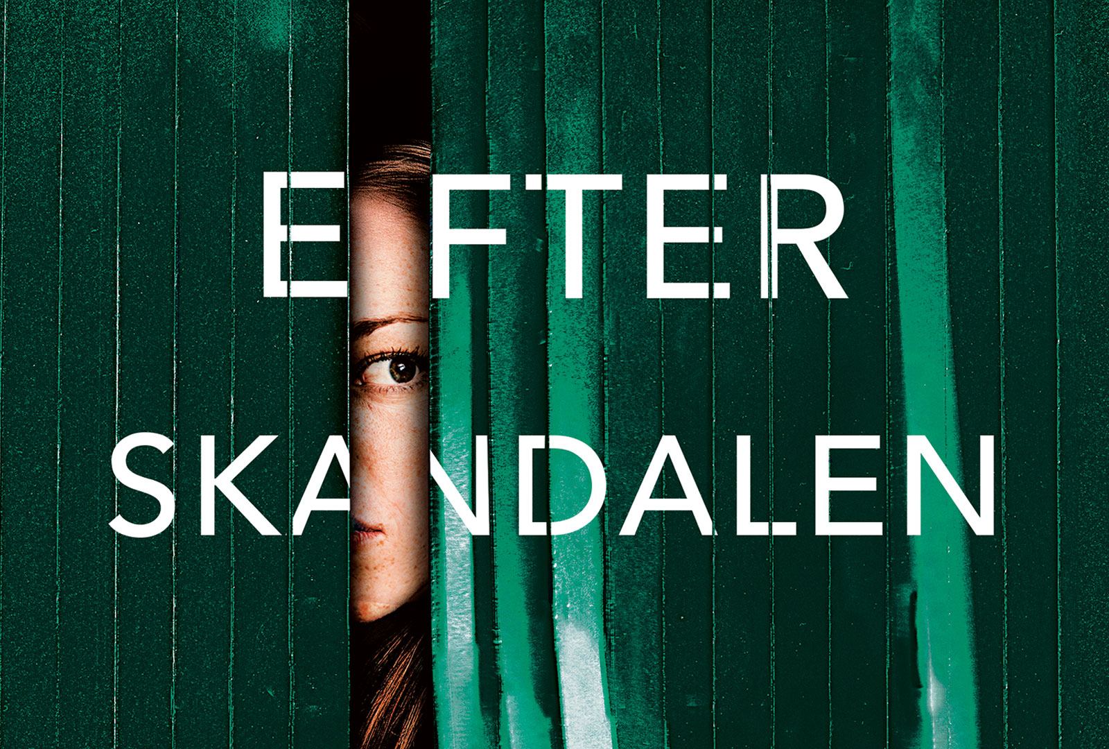 Efter skandalen – bokcirkelfrågor