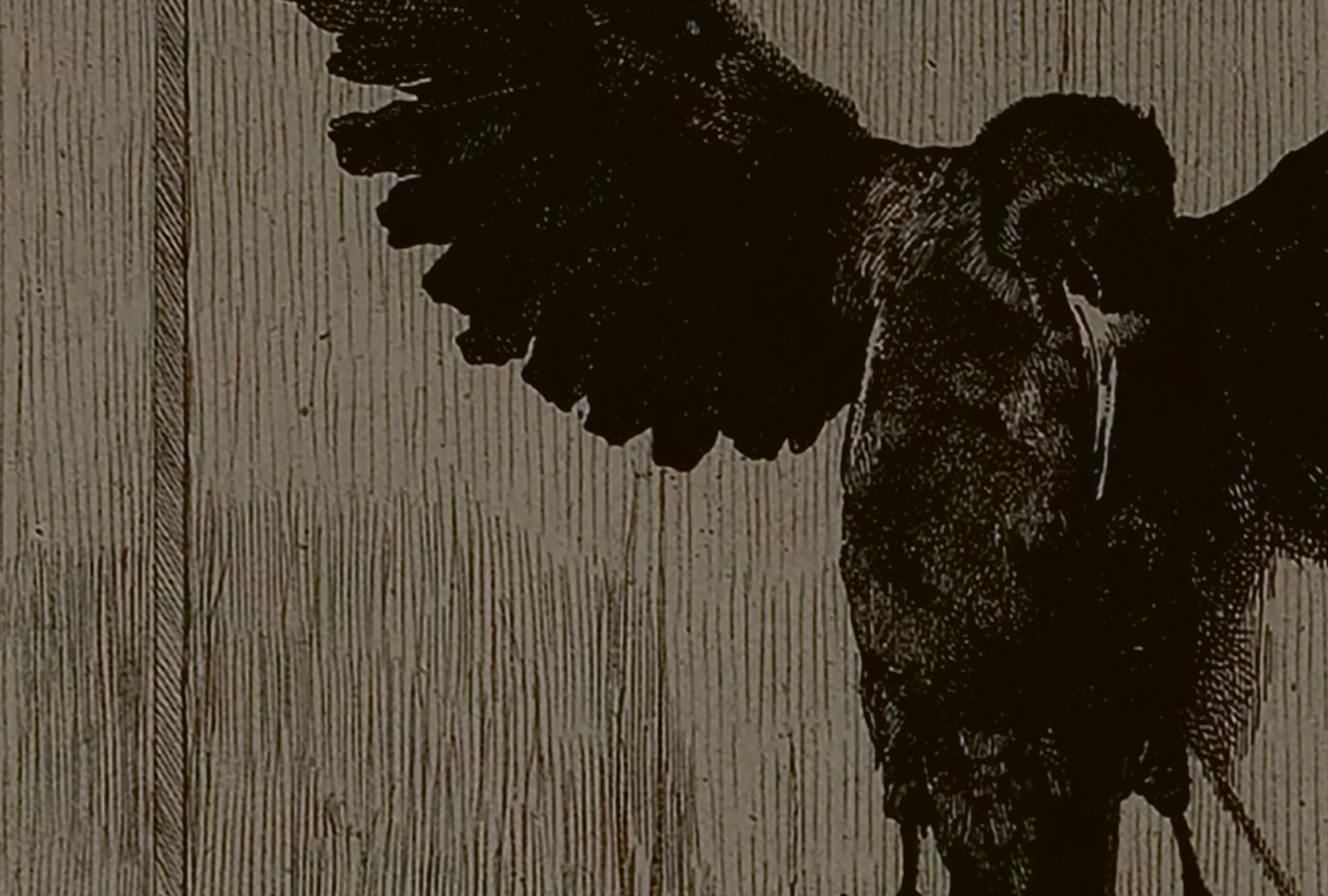 Dit du går följer jag – bokcirkelfrågor