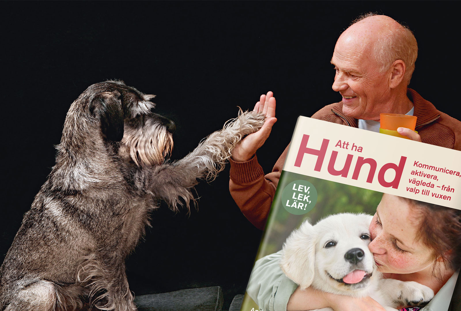 Boken för hundens alla utvecklingsfaser