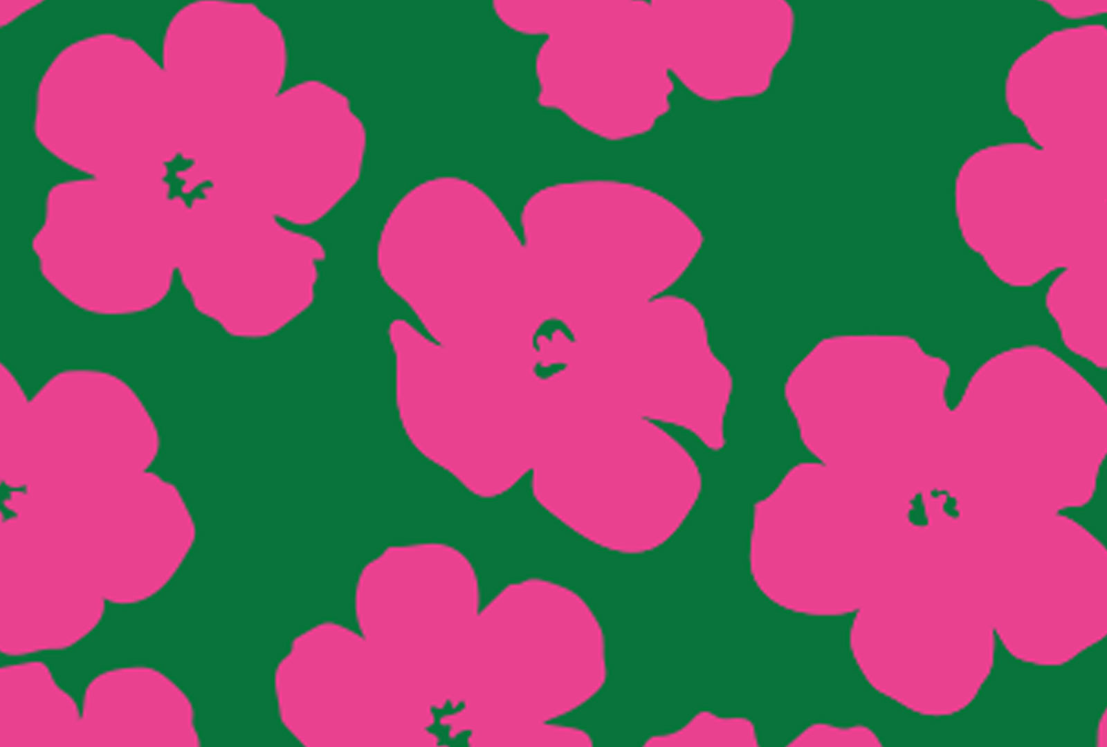 Strålande recensioner för Håll käften och var söt av Vita Andersen