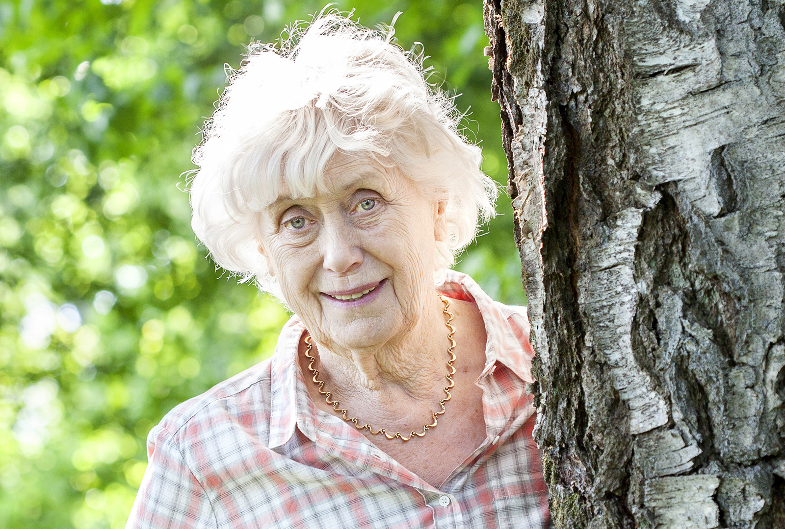 Kerstin Ekman prisas av Smålands Akademin