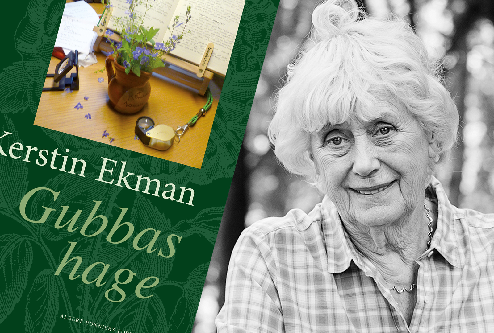 Eva Bonniers stipendium till Kerstin Ekman