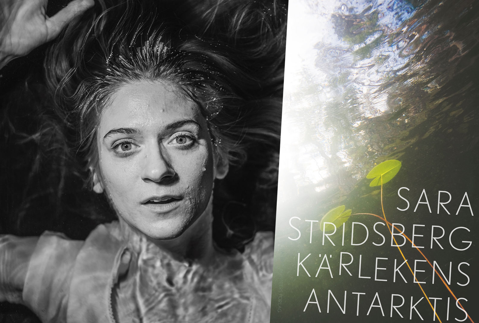 Sara Stridsbergs Kärlekens Antarktis på Dramaten