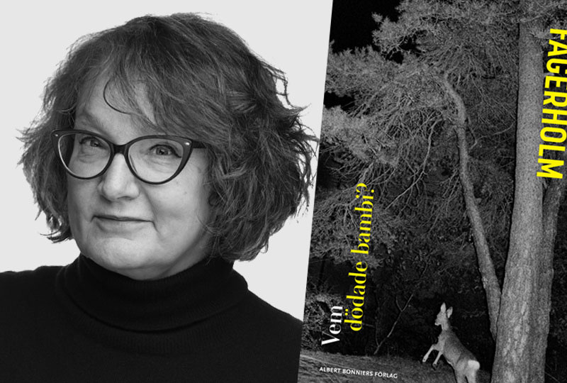 Nordiska rådets litteraturpris 2020 till Monika Fagerholm