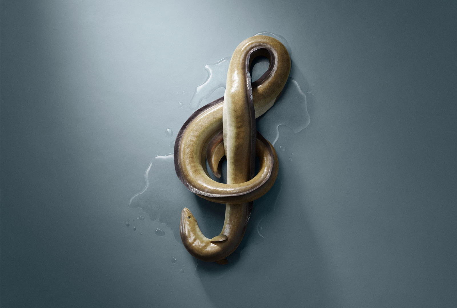 Ålevangeliet på Folkoperan