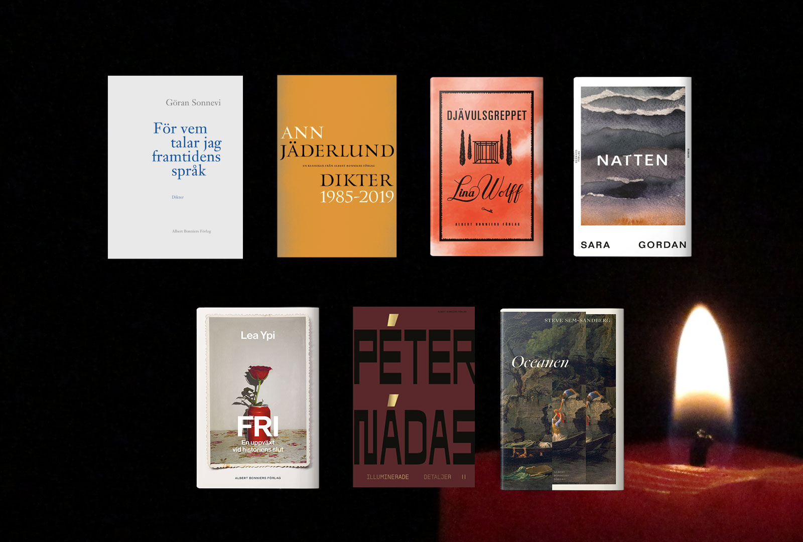 Dagens Nyheter listar årets 20 bästa böcker 2022