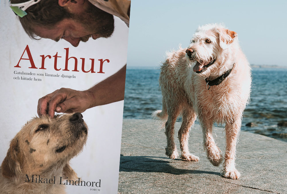 Historien om Arthur blir storfilm