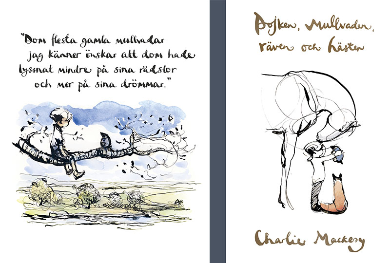 Pojken, mullvaden, räven och hästen ska bli film