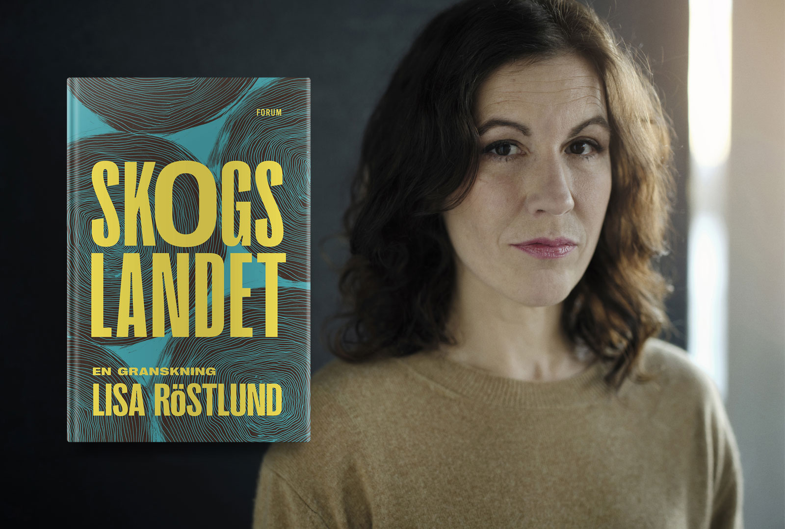 Skogslandet – en granskning
