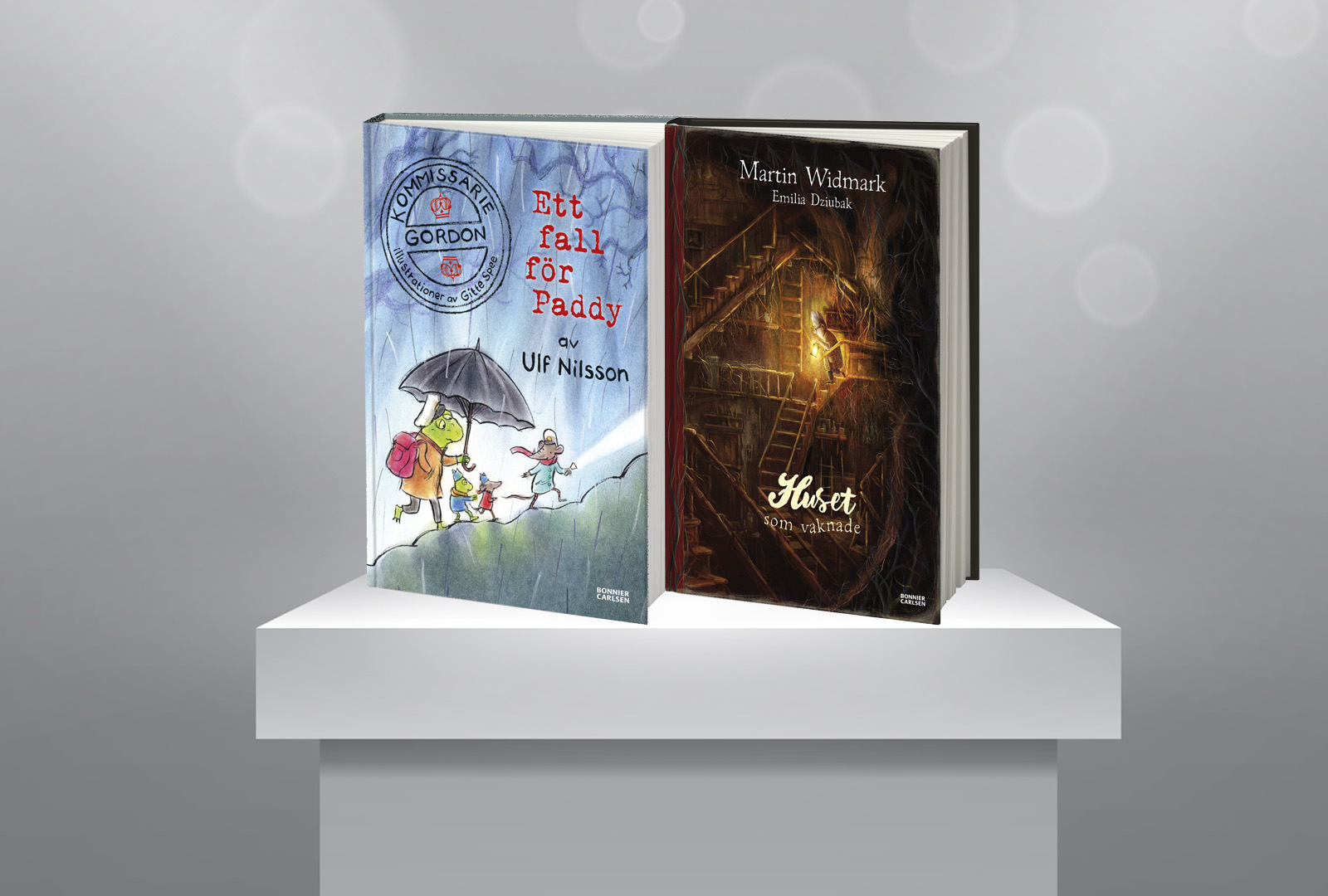 Fin utmärkelse till Kommissarie Gordon. Ett fall för Paddy och Huset som vaknade