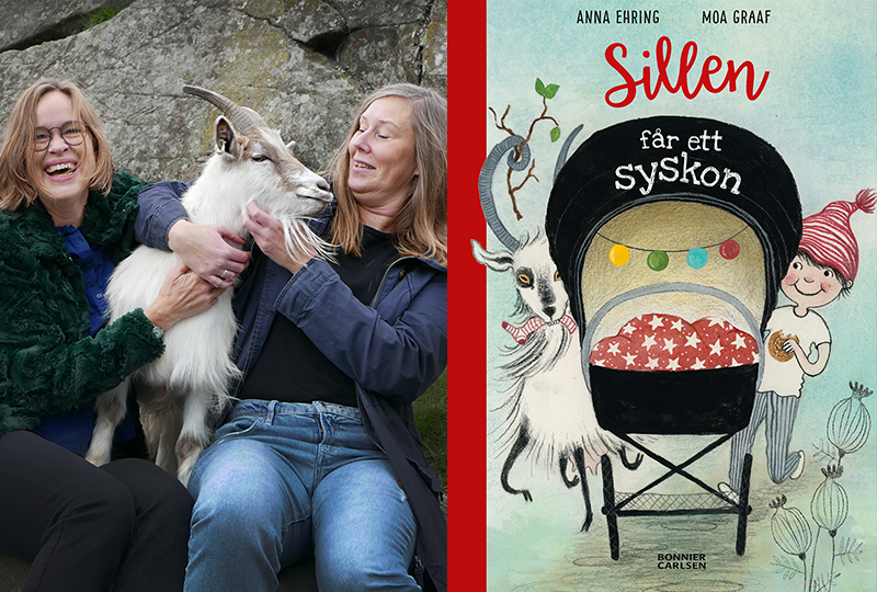 Anna Ehring: "En liten kille som heter Sillen poppade upp i min skalle"