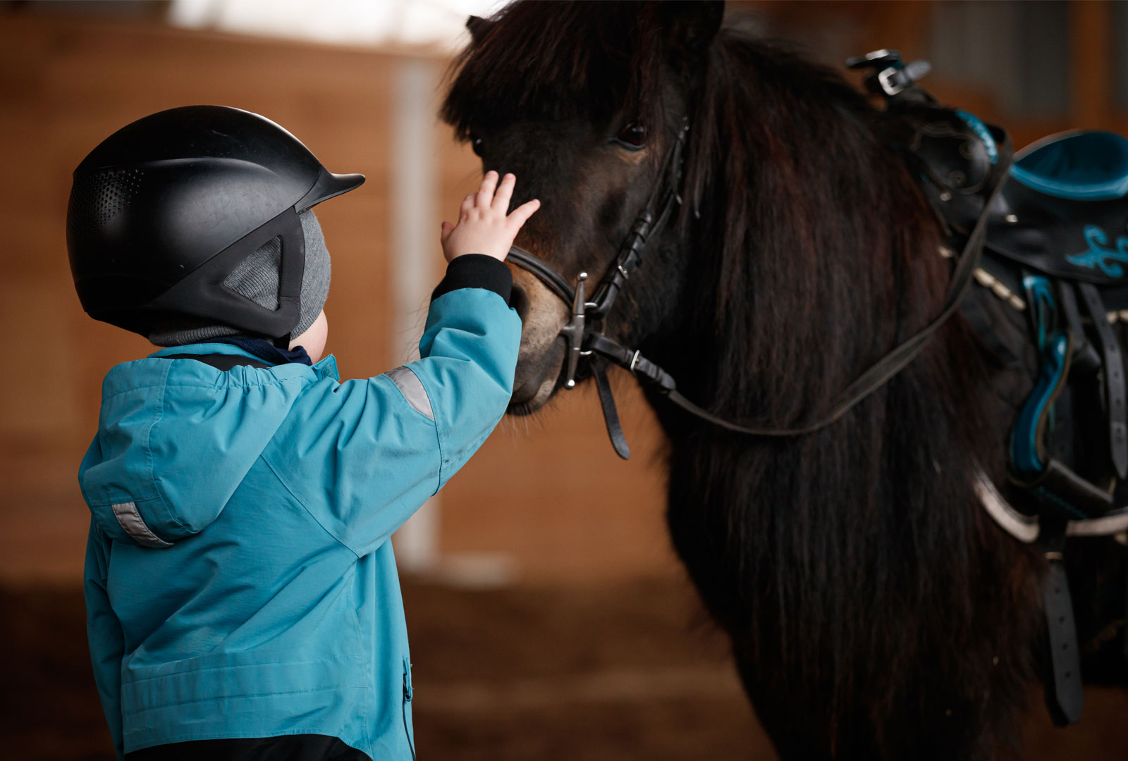 Upp i sadeln! 12 tips på hästböcker för barn
