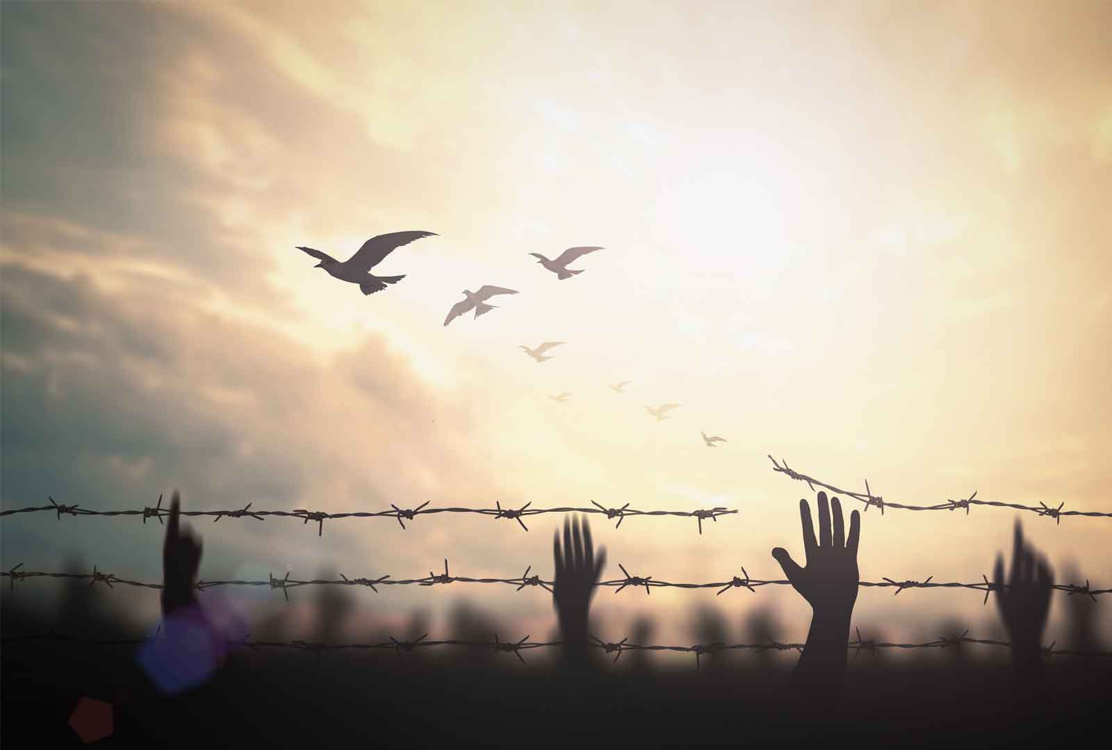 Till minne av Förintelsen – vi lyfter fram några berättelser