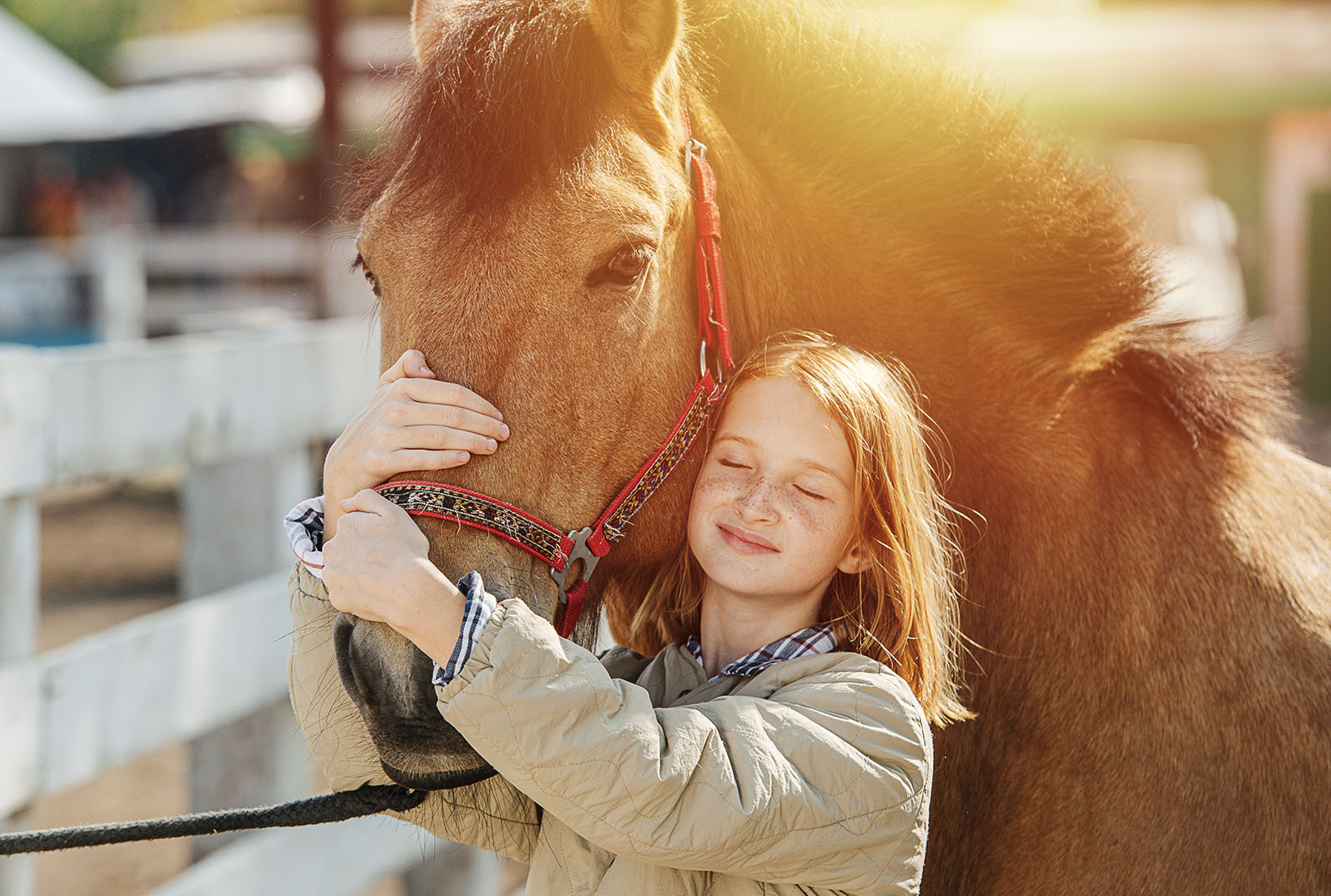 6 böcker för hästälskaren