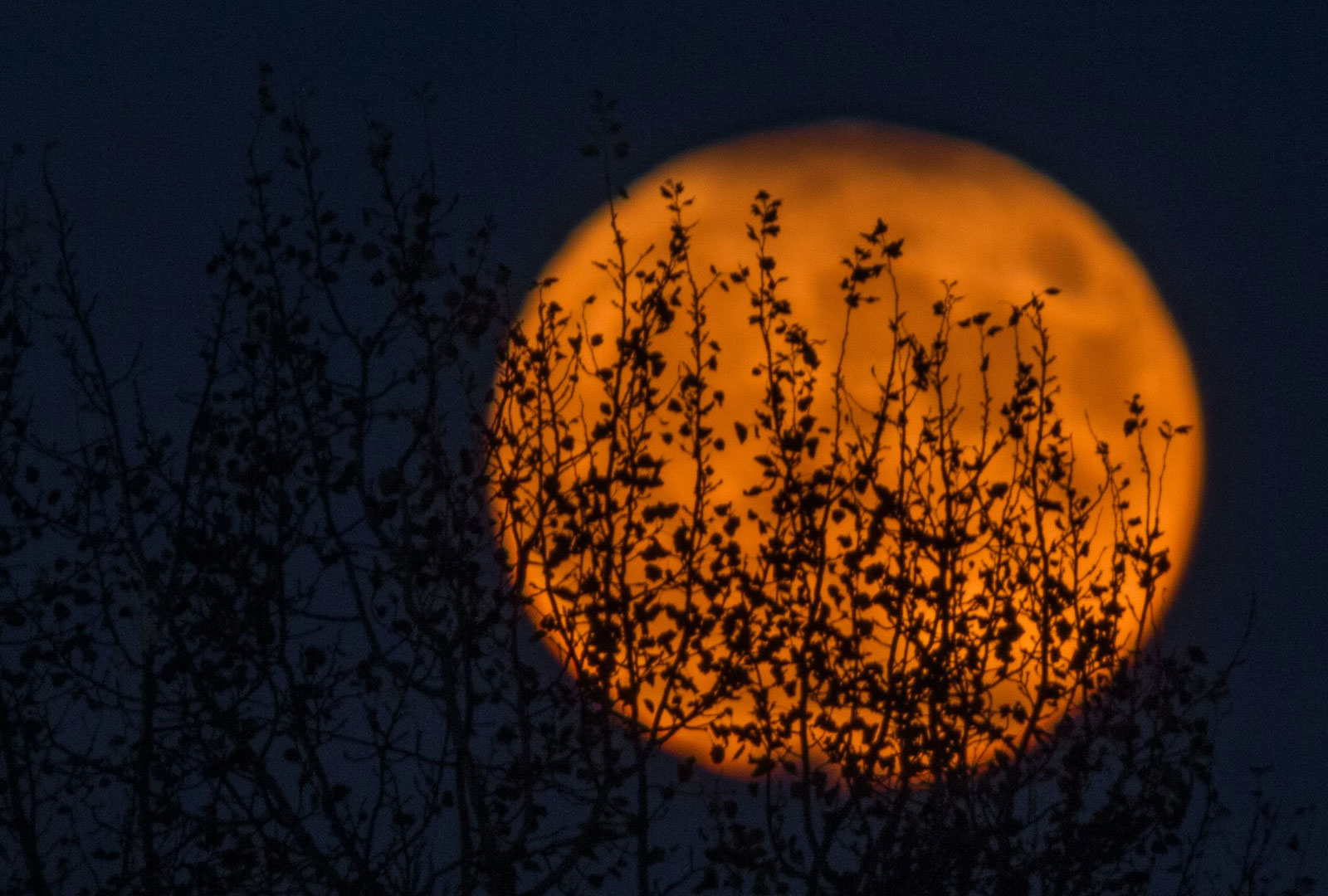 13 böcker för den som gillar ryslig och övernaturlig läsning