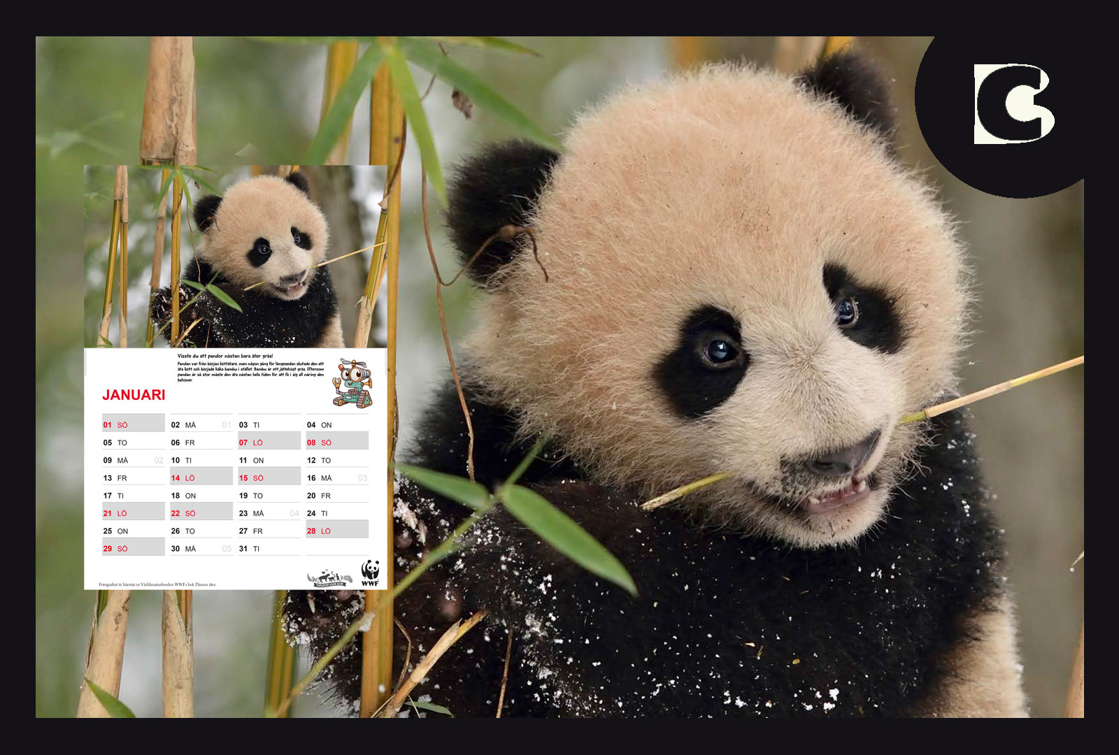 Väggkalender 2023 Världsnaturfonden WWF  – ladda ner