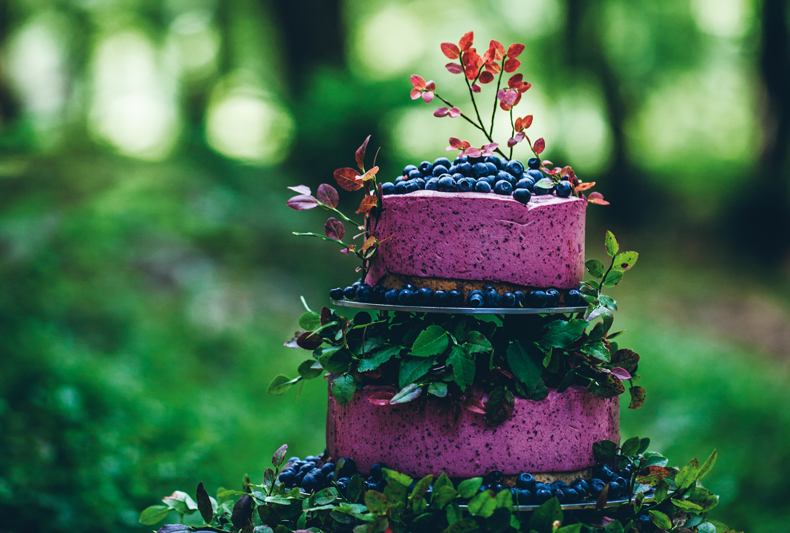 Sju titlar belönade av Svenska måltidsakademin