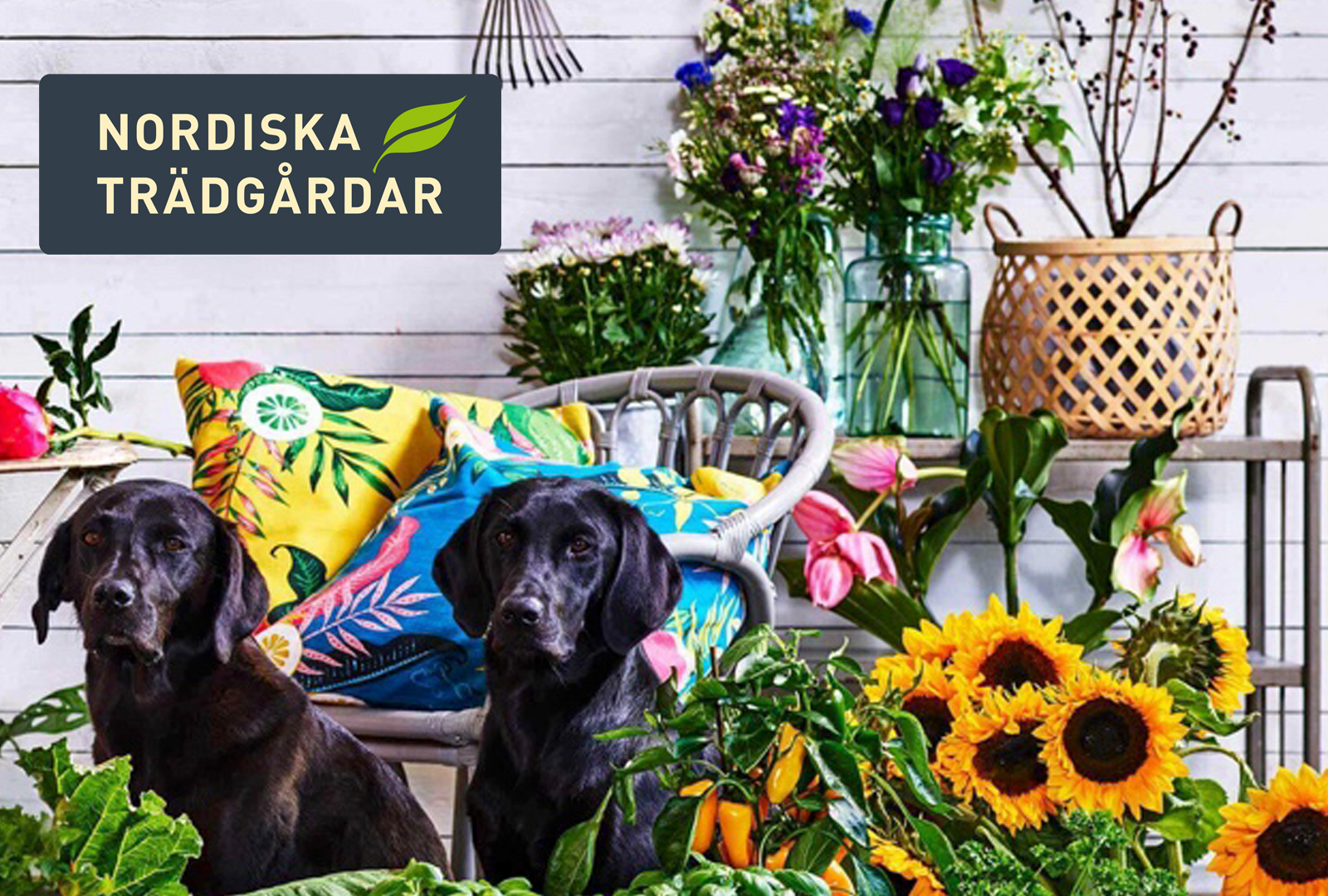 Möt Bonnier Faktas författare på trädgårdsmässan i Älvsjö