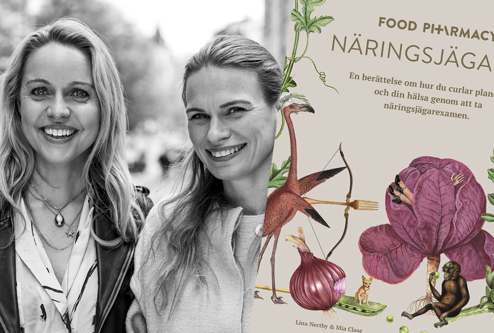 Food Pharmacy utkommer med ny bok för näringsjägare