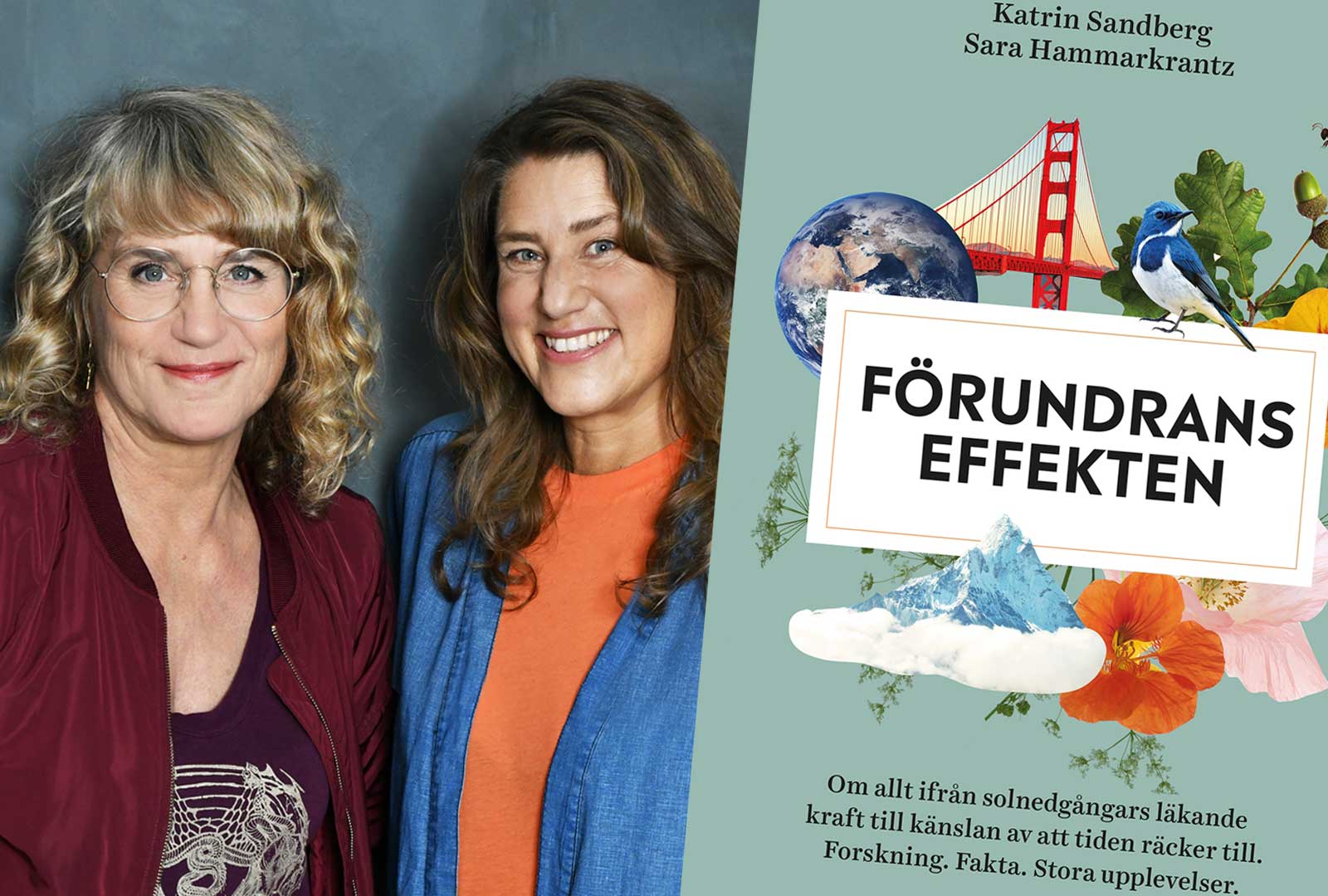 Ny bok om forskningen på förundran och dess hälsoeffekter