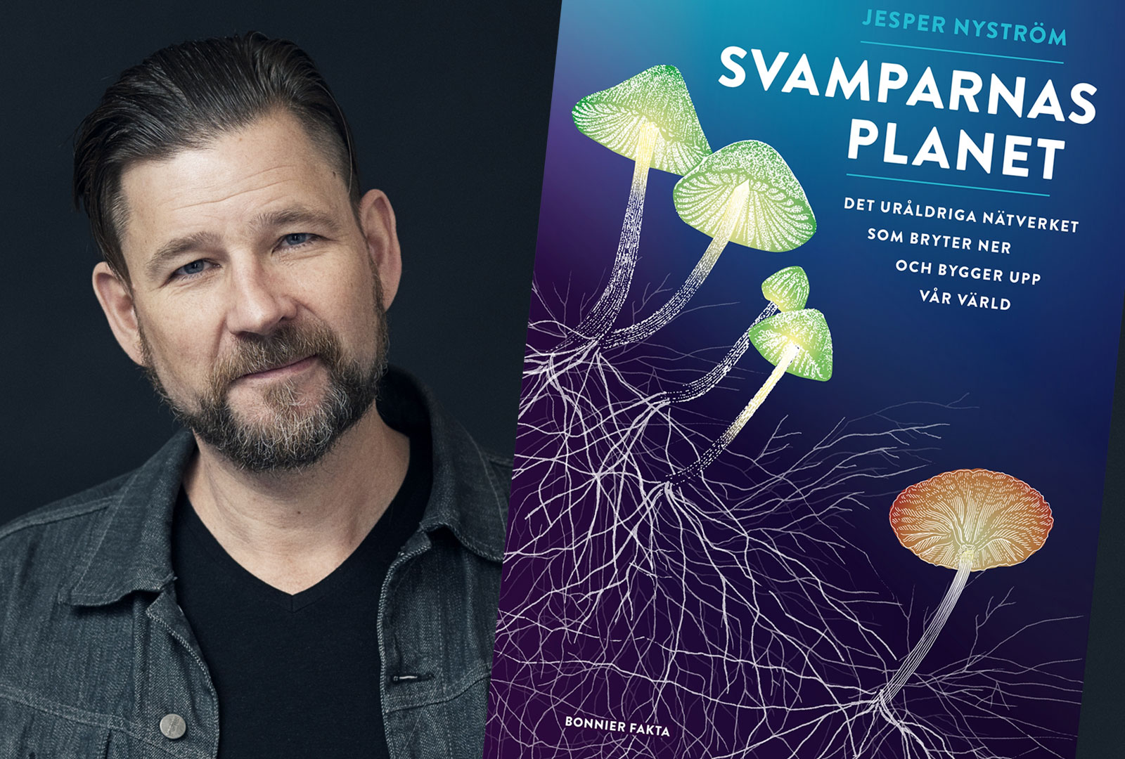 Svamparnas planet – ny bok om svampens mystiska och fascinerande livsform