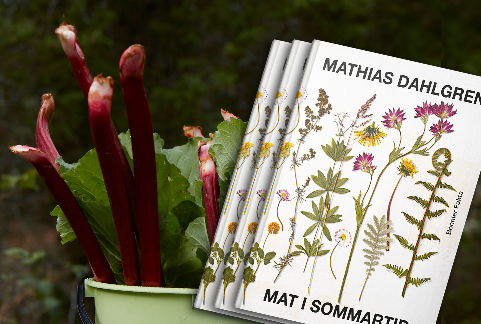 Stjärnkock sprider matglädje i denna ljuva sommartid