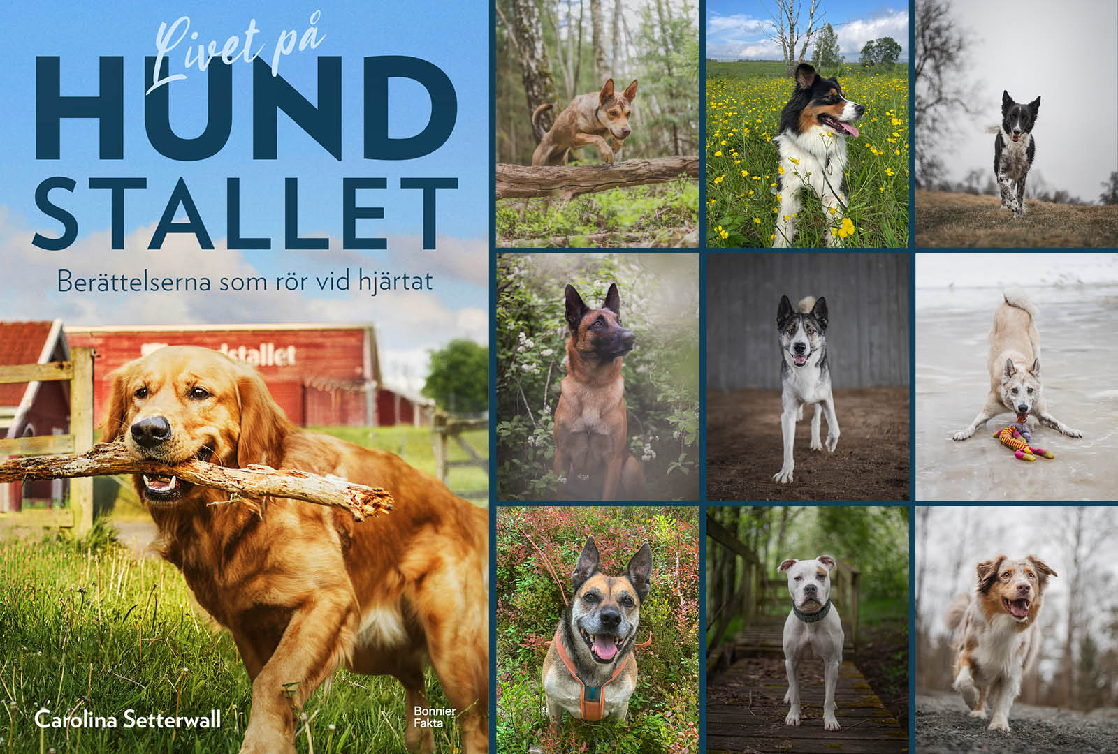 Ny bok tar oss bakom kulisserna på Hundstallet