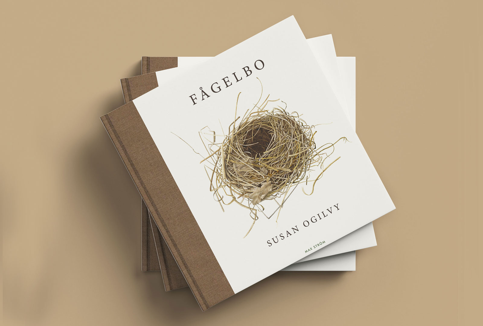 Fascinerande om fåglar och deras bon