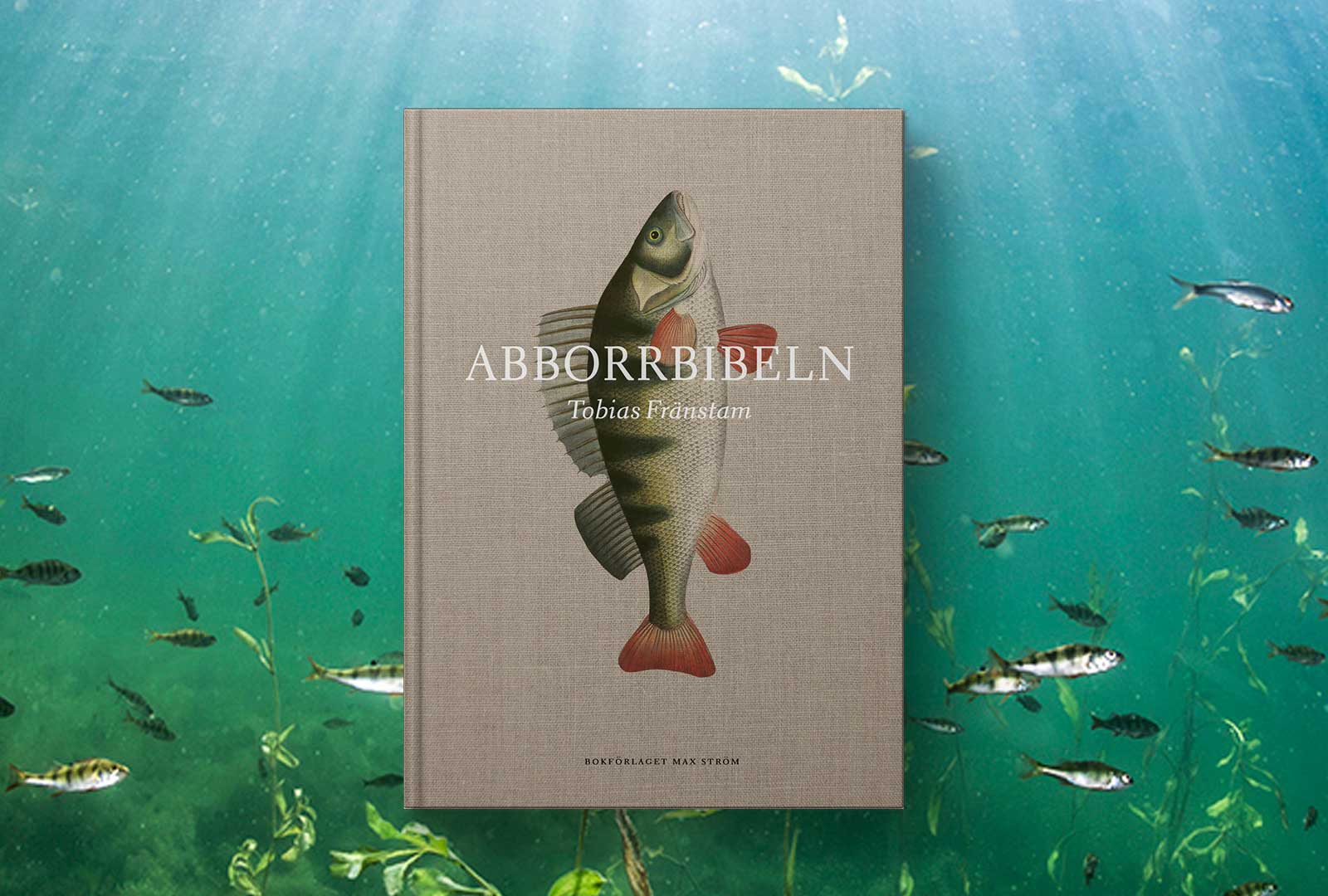 Abborrbibeln – den ultimata guiden till Sveriges vanligaste fisk