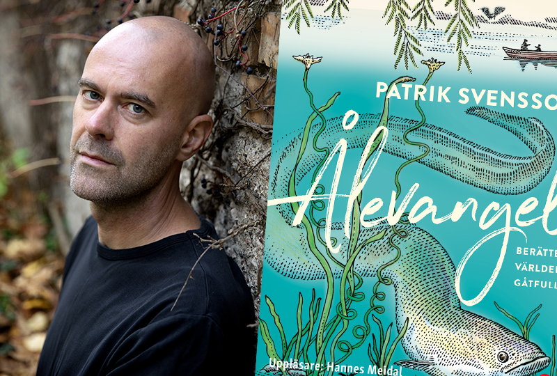 Augustpriset 2019 till Patrik Svensson