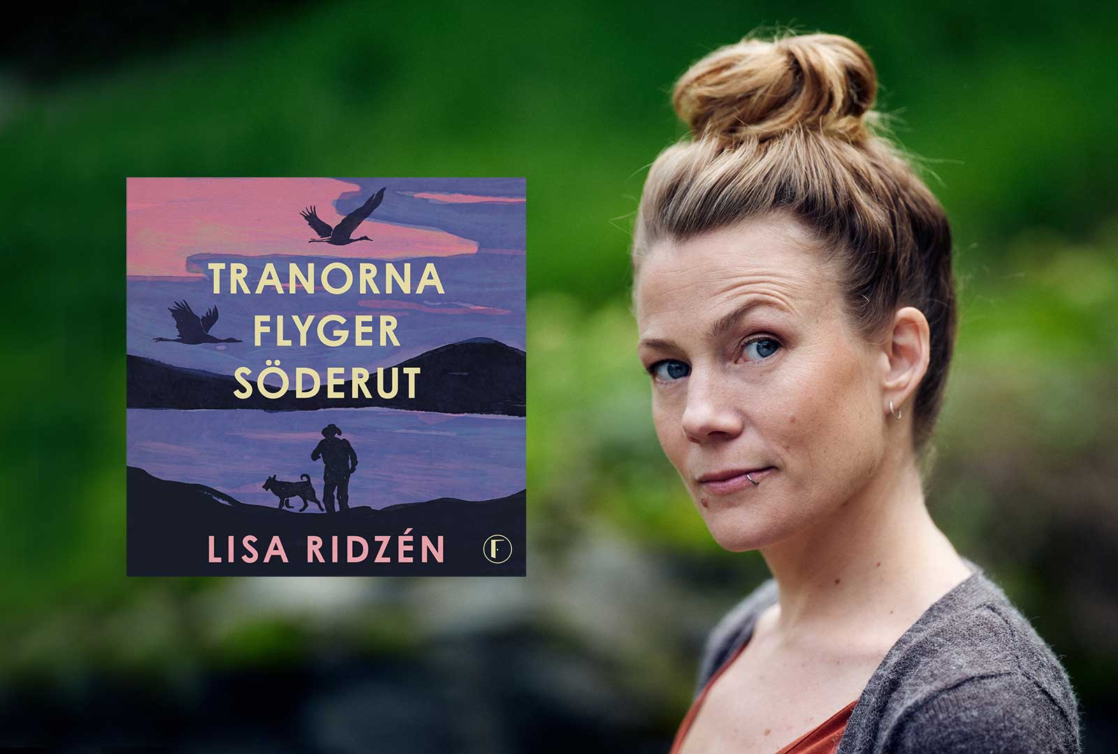 Internationell succé för debutromanen Tranorna flyger söderut – översätts till 30 språk